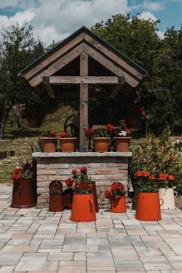 Bed and Breakfast Dreko Panzio & Borbisztro Győrújbarát Exteriér fotografie