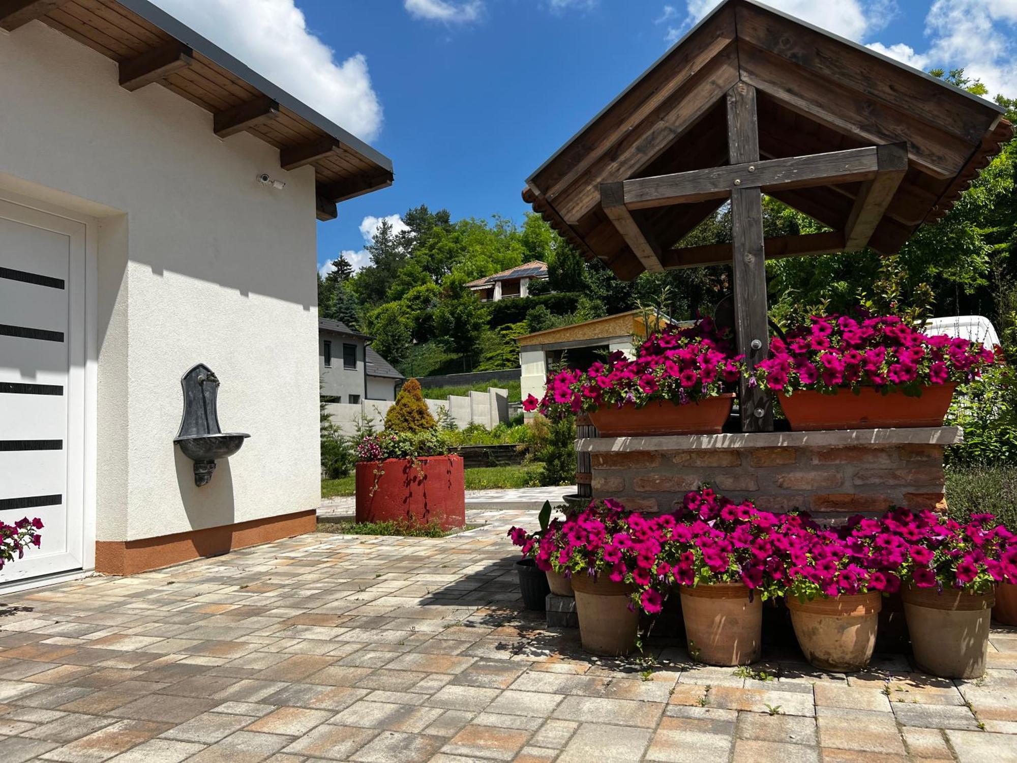 Bed and Breakfast Dreko Panzio & Borbisztro Győrújbarát Exteriér fotografie
