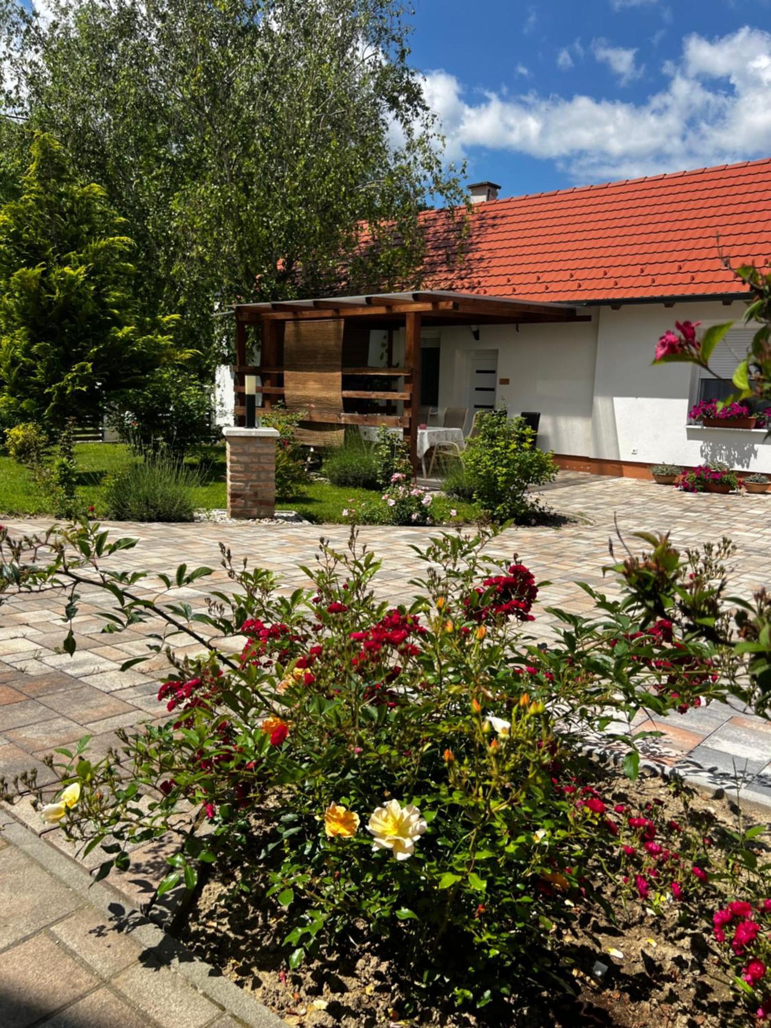 Bed and Breakfast Dreko Panzio & Borbisztro Győrújbarát Exteriér fotografie
